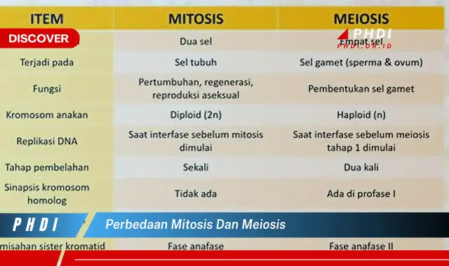 perbedaan mitosis dan meiosis