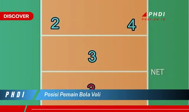 posisi pemain bola voli