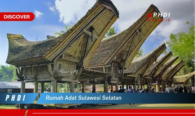 rumah adat sulawesi selatan