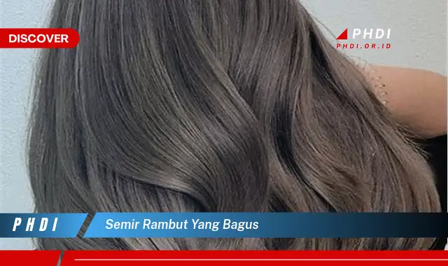 semir rambut yang bagus