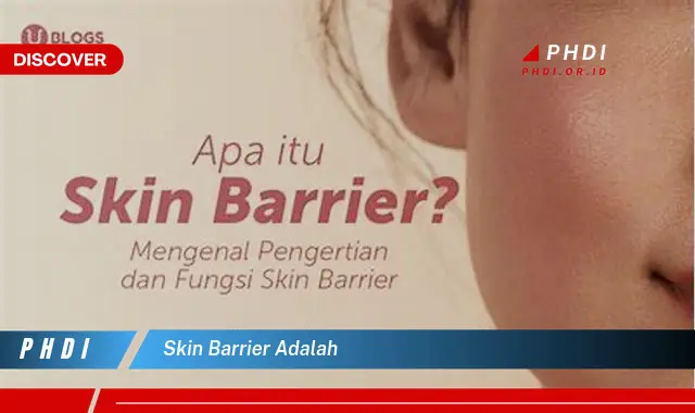 skin barrier adalah