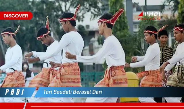 tari seudati berasal dari