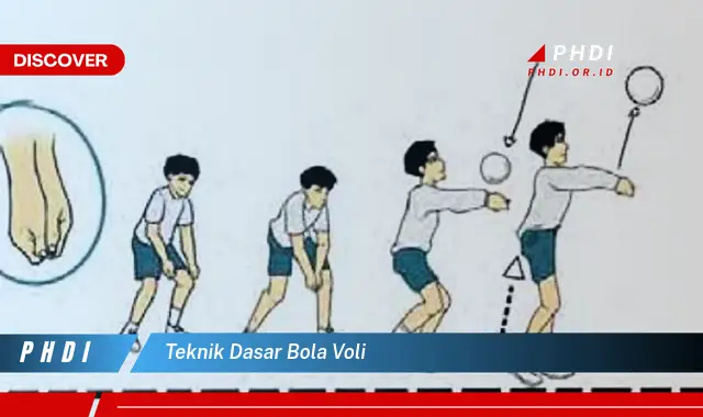 teknik dasar bola voli