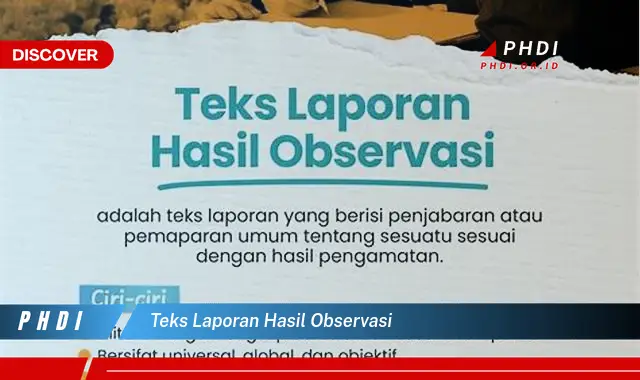 teks laporan hasil observasi