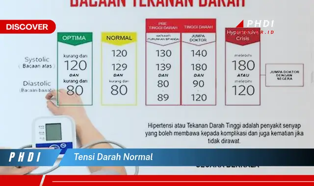 tensi darah normal