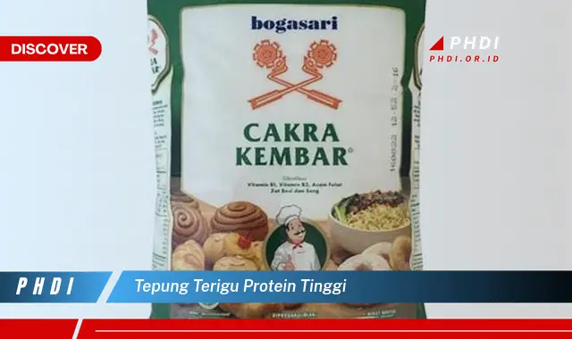 tepung terigu protein tinggi