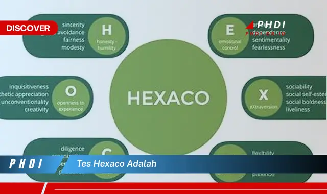 Ketahui Tes Hexaco: Rahasia Kepribadian yang Wajib Kamu Intip