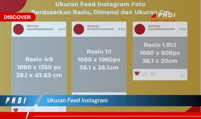 Intip Ukuran Feed Instagram yang Jarang Diketahui, Bikin Konten Makin Menarik!