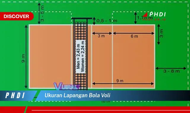 ukuran lapangan bola voli