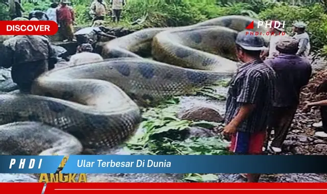 ular terbesar di dunia