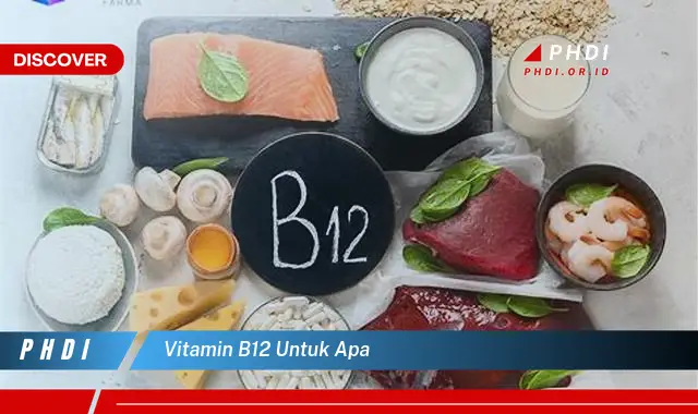 Intip Peran Vitamin B12 yang Wajib Kamu Tahu!