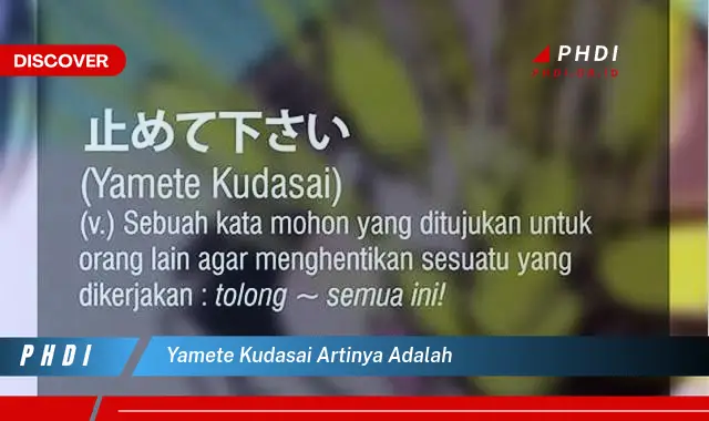 yamete kudasai artinya adalah