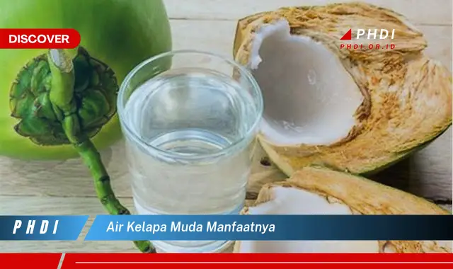 air kelapa muda manfaatnya