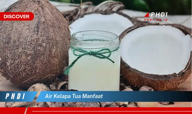 air kelapa tua manfaat