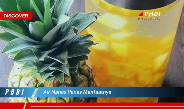 air nanas panas manfaatnya