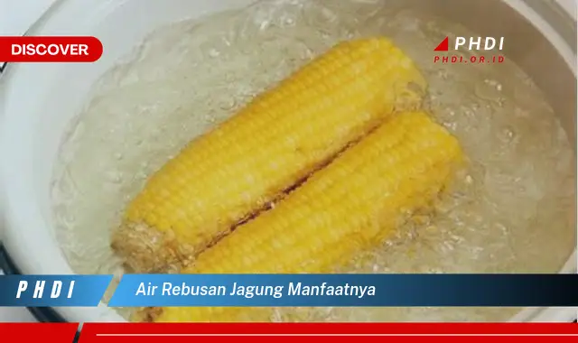 air rebusan jagung manfaatnya