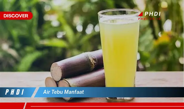 air tebu manfaat