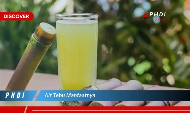 air tebu manfaatnya