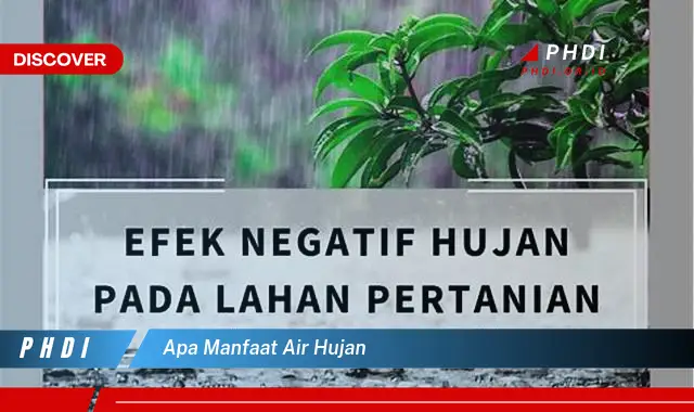 apa manfaat air hujan