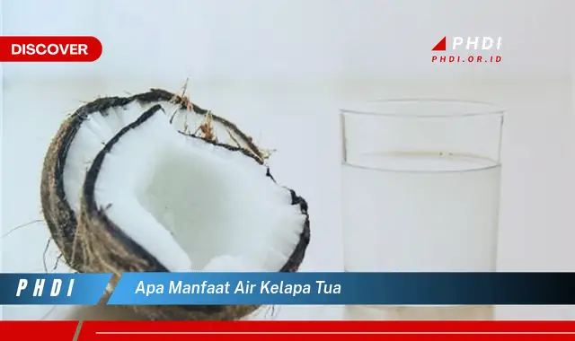 apa manfaat air kelapa tua