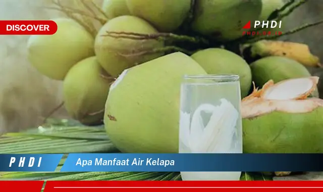 apa manfaat air kelapa