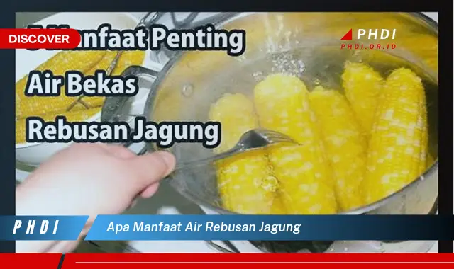 apa manfaat air rebusan jagung