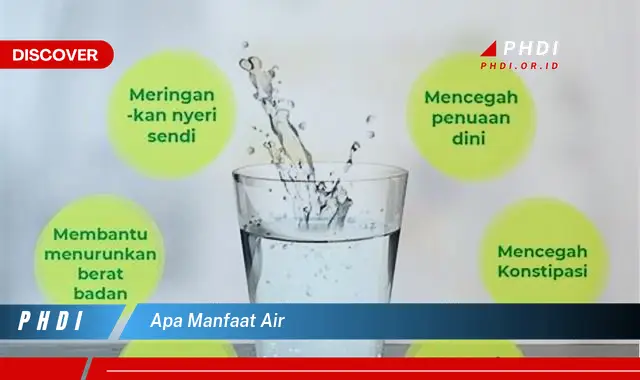 apa manfaat air