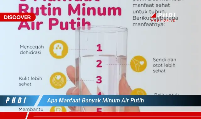 apa manfaat banyak minum air putih