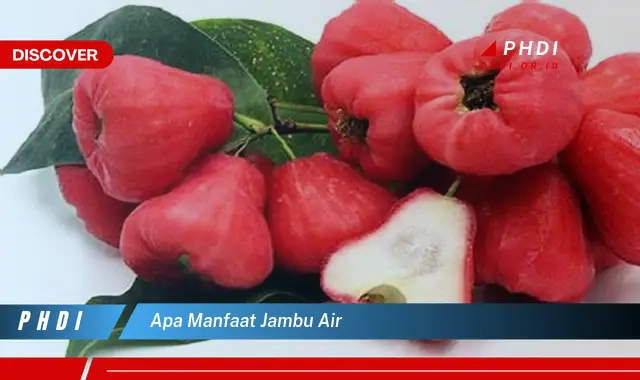 apa manfaat jambu air