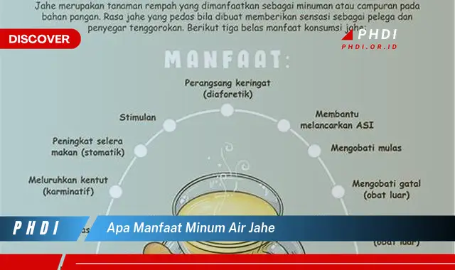 apa manfaat minum air jahe