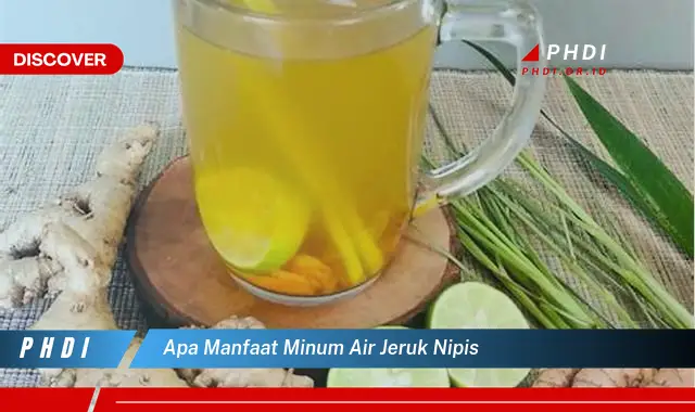 apa manfaat minum air jeruk nipis