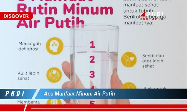 apa manfaat minum air putih