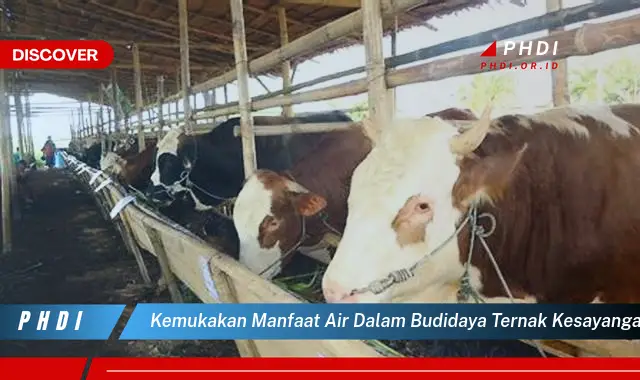 kemukakan manfaat air dalam budidaya ternak kesayangan