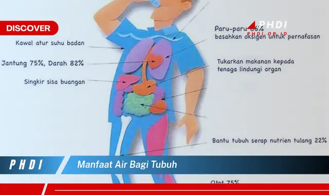 manfaat air bagi tubuh