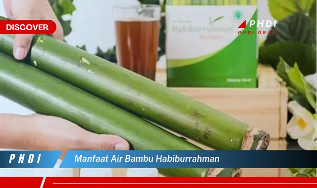 manfaat air bambu habiburrahman