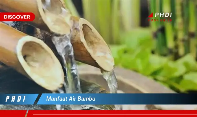 manfaat air bambu