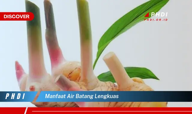 manfaat air batang lengkuas