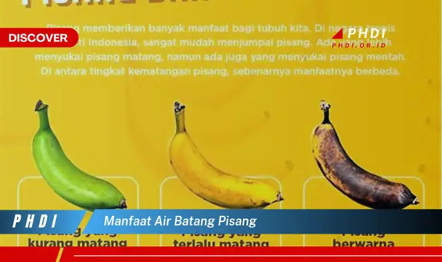 manfaat air batang pisang