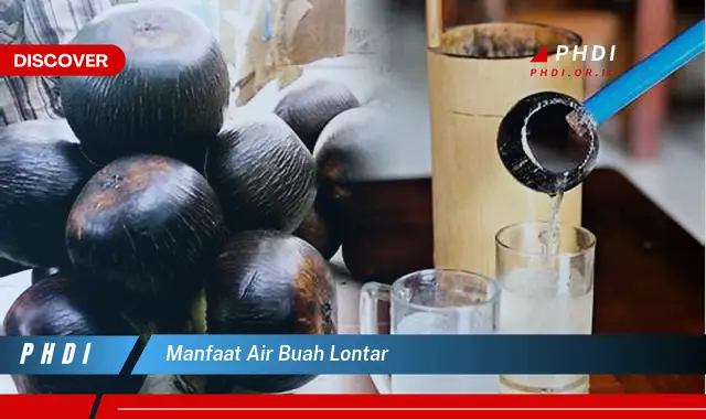 manfaat air buah lontar