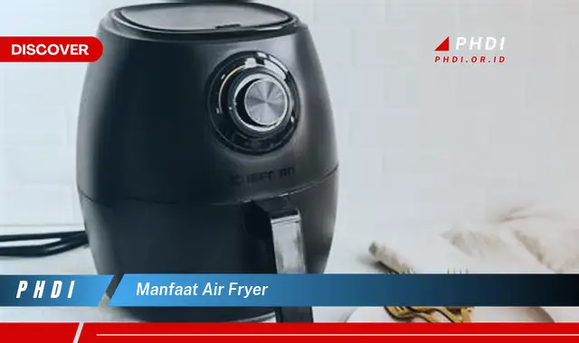 manfaat air fryer