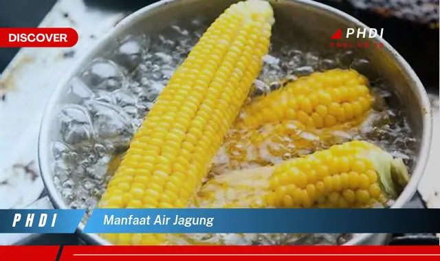 manfaat air jagung