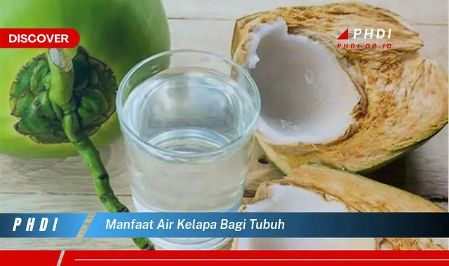 manfaat air kelapa bagi tubuh