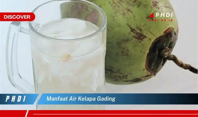 manfaat air kelapa gading