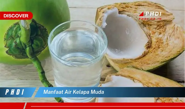 manfaat air kelapa muda