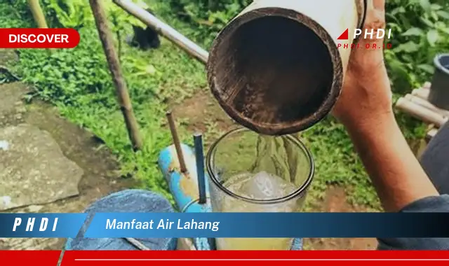 manfaat air lahang