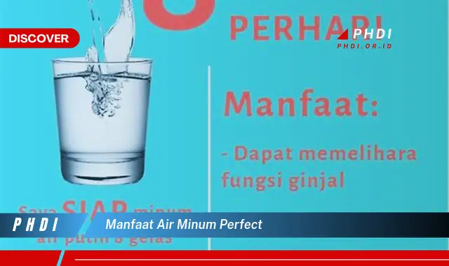 manfaat air minum perfect