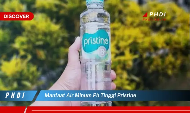 Temukan 7 Manfaat Air Minum pH Tinggi Pristine yang Bikin Kamu Penasaran