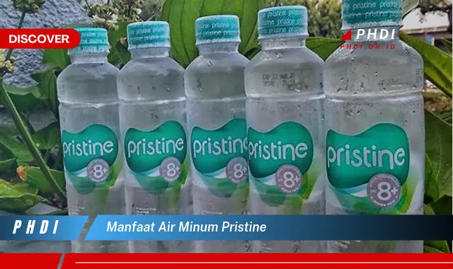 manfaat air minum pristine