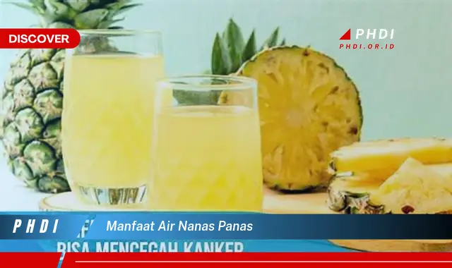 manfaat air nanas panas