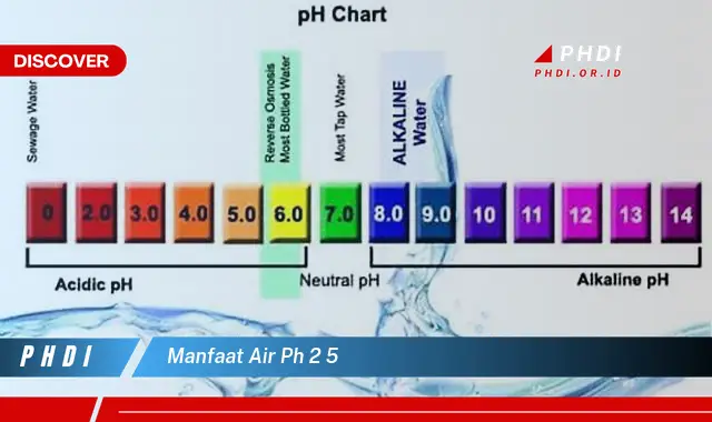 manfaat air ph 2 5